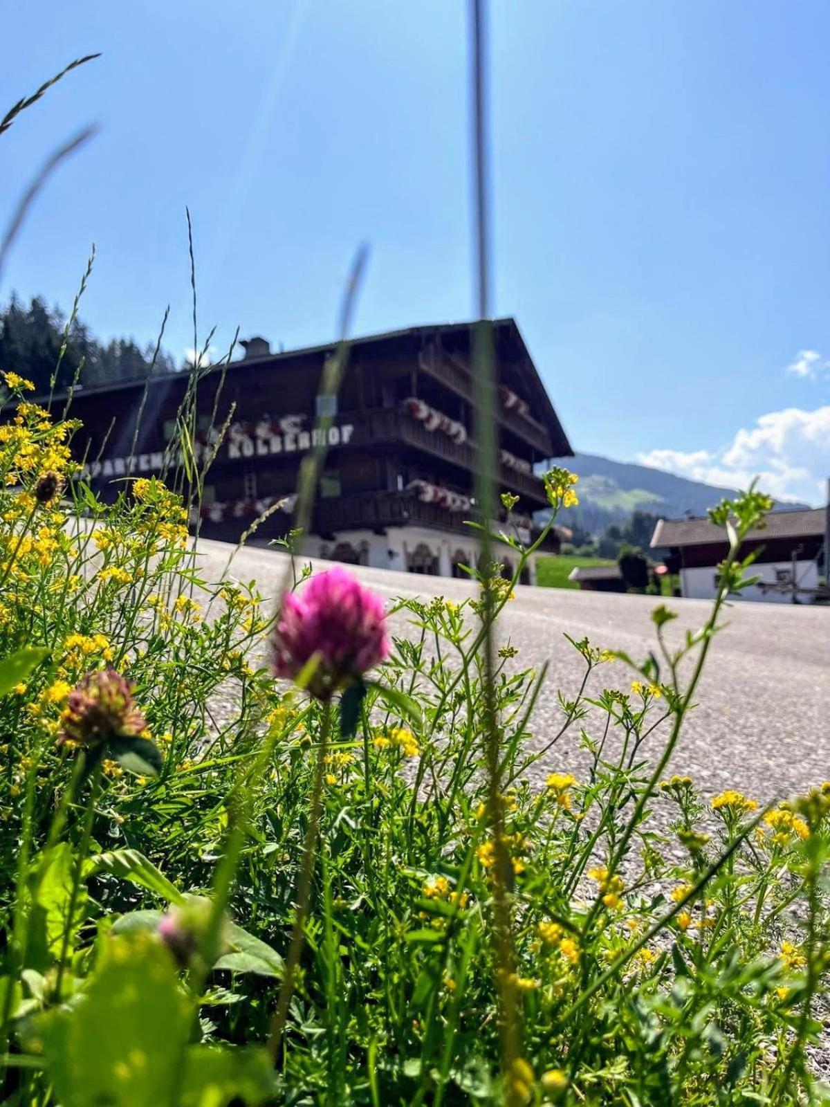 Appartements Kolberhof Alpbach Exterior photo
