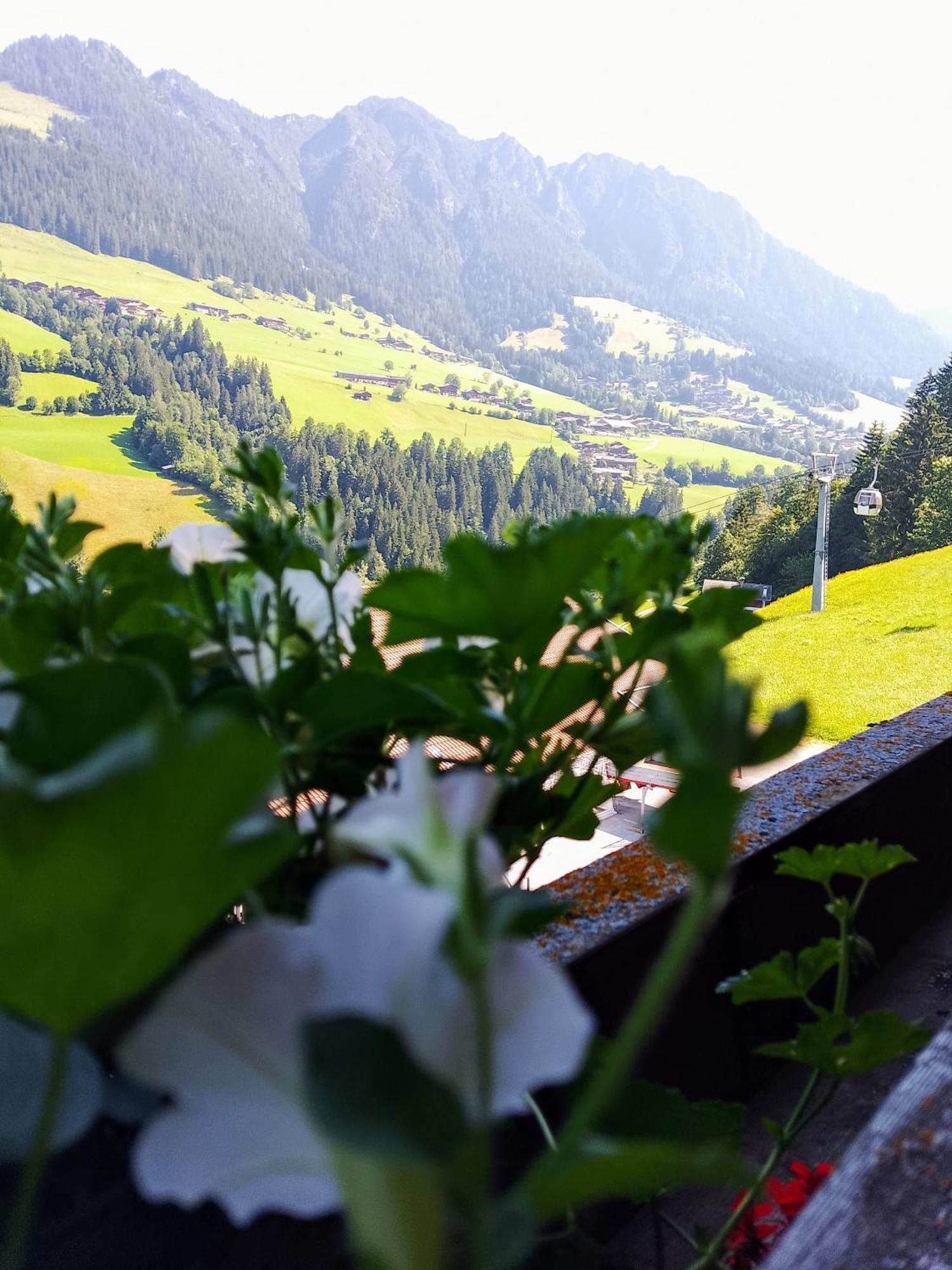 Appartements Kolberhof Alpbach Room photo